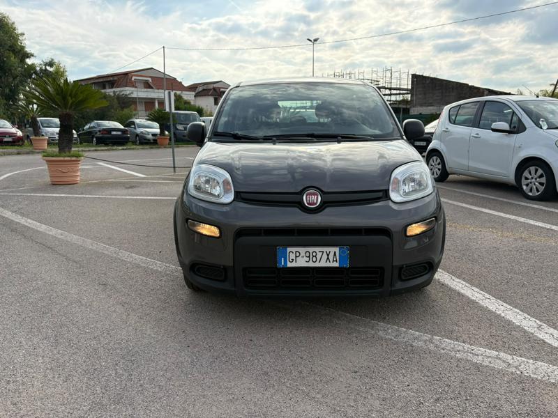 egauto